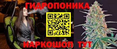 2c-b Кимры